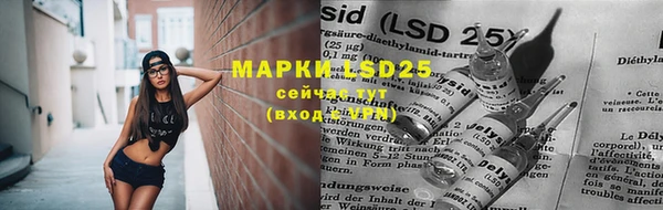 прущий лед Аркадак