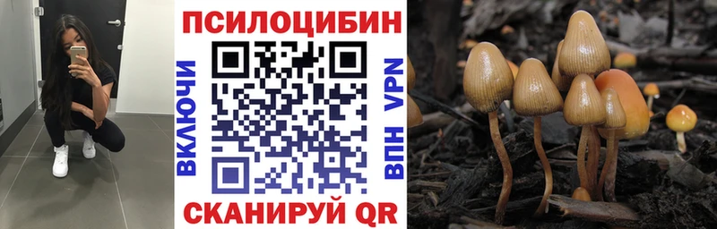 Галлюциногенные грибы Psilocybe  хочу   Кушва 